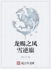 龙赐之风雪逆旅