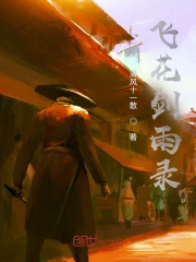 飞花剑雨录