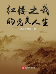 红楼之我的完美人生